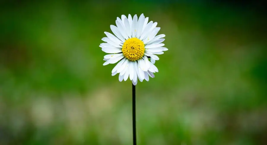 Certificazioni ambientali importanti per la transizione ecologica